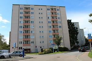 foto1