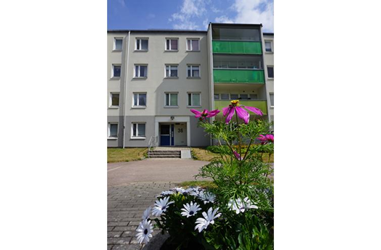 Bilder