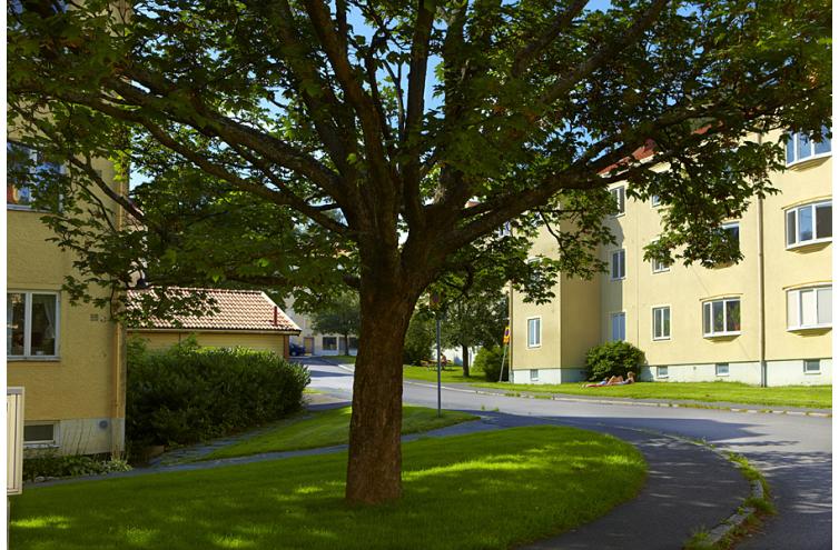 bild på objektet