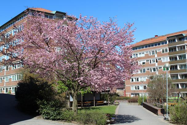 Objektfoto