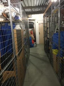 foto1