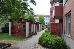 foto1