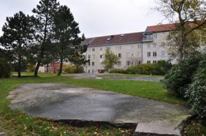 foto1