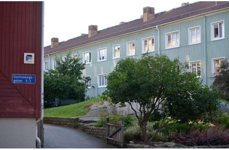 Kvarteret Styvmorsviolen