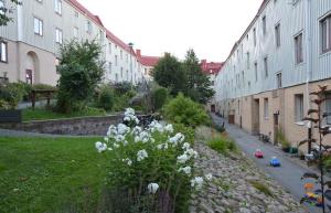 foto1