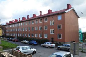 foto1