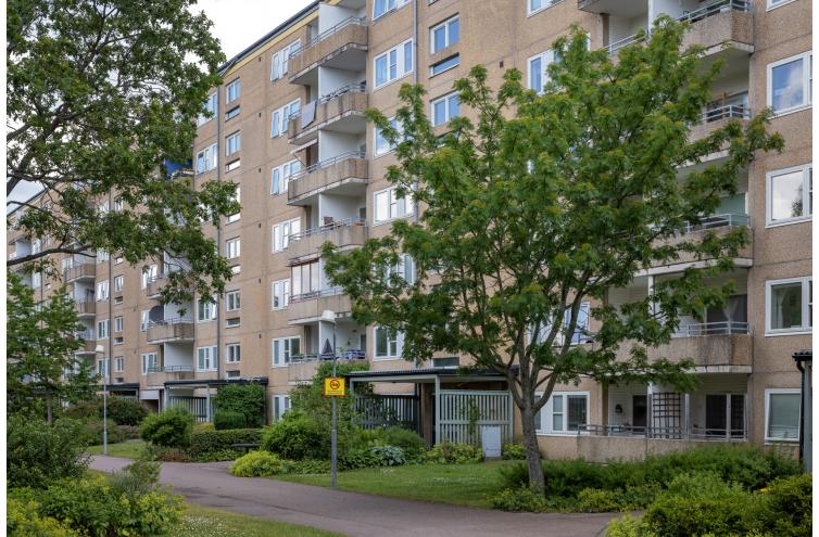 bild på objektet
