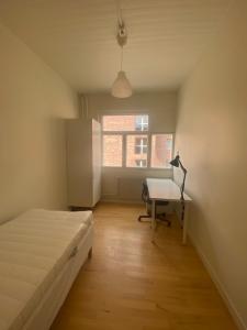 foto1