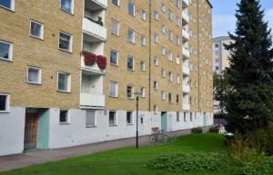 foto1