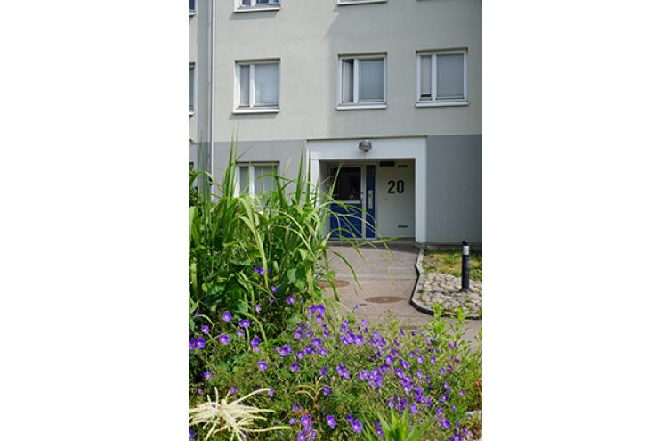 Webbild och/eller text för Fastighet