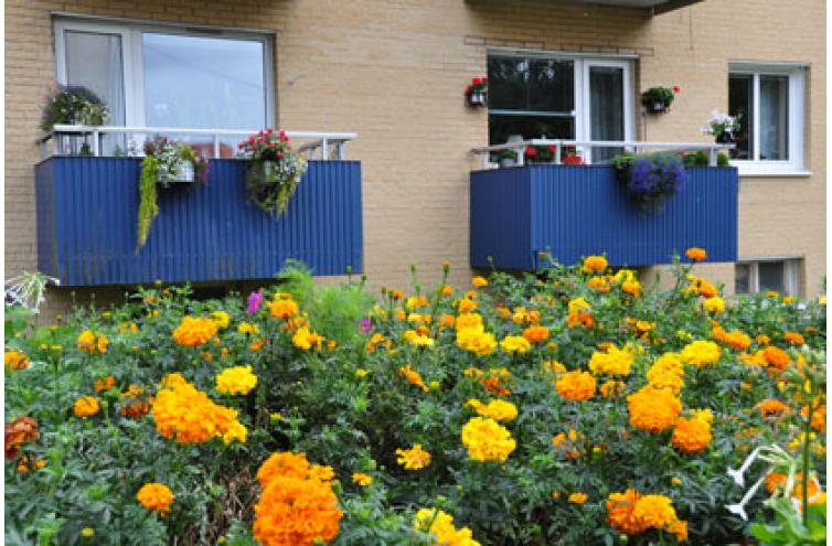 Webbild och/eller text för Fastighet