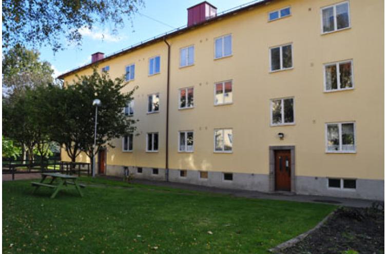 Bild från kvarteret