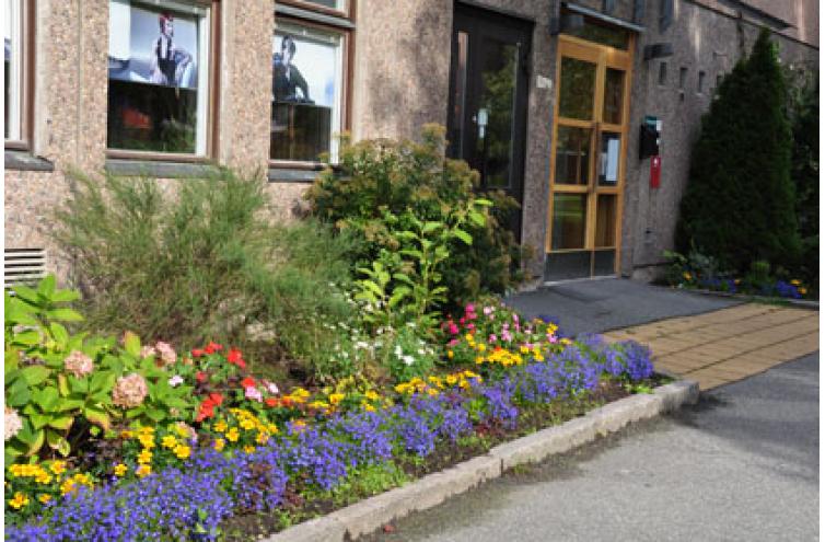 Mandolingatan 25, entré