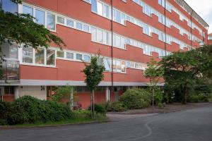 foto1