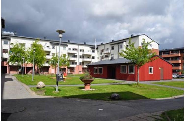 Bild från området