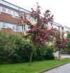 Briljantgatan 58 — bild 2