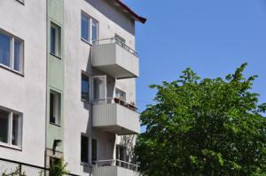 foto1
