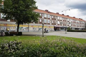 foto1
