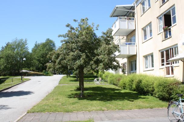 Objektfoto