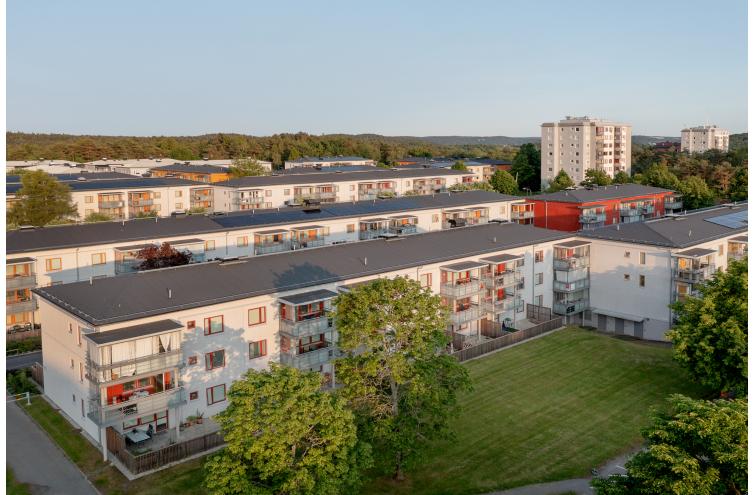 bild på objektet
