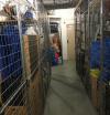 Timgatan 4 — bild 2