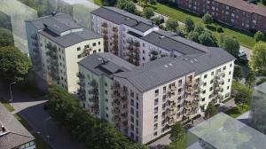 foto1