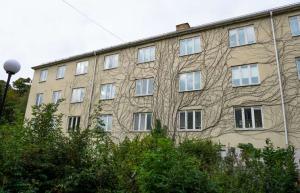 foto1