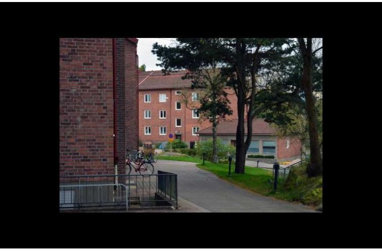Petrifängsgatan