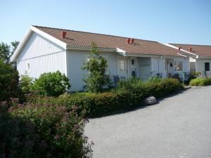 foto1