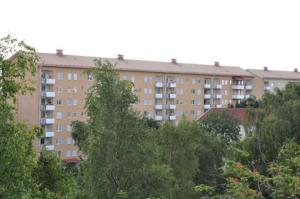 foto1