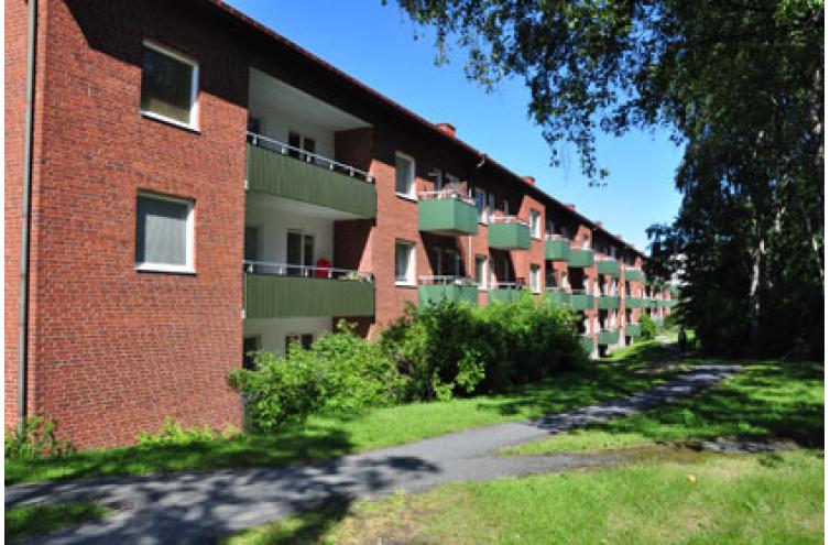 Bild från området