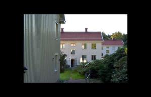 foto1
