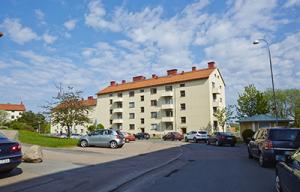 foto1