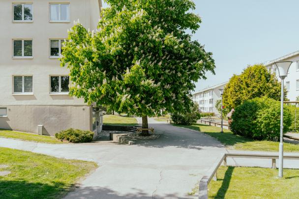 Objektfoto