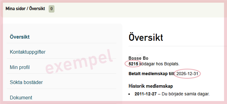Exempel på hur det ser ut på Mina Sidor